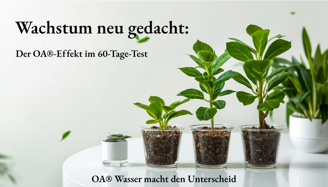 Wachstum neu gedacht